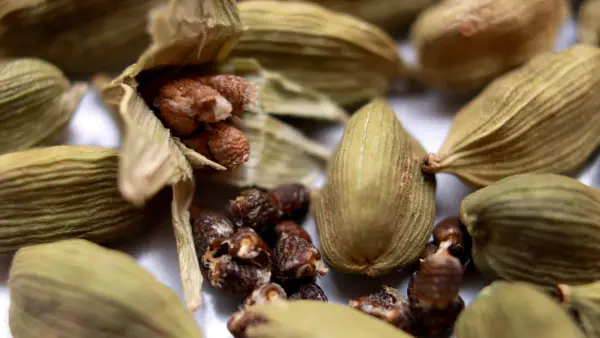 Cardamom queen of spices