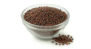 Halim Seeds